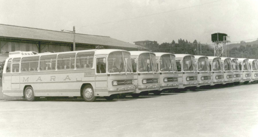 Historic MARA bus fleet line-up
